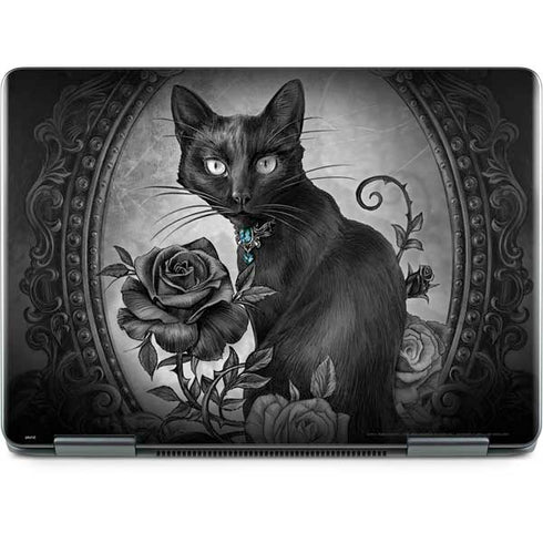 Alchemy Paracelsus - The Philosophers Familiar Notebook 9 Pro 13in (2017) Skin